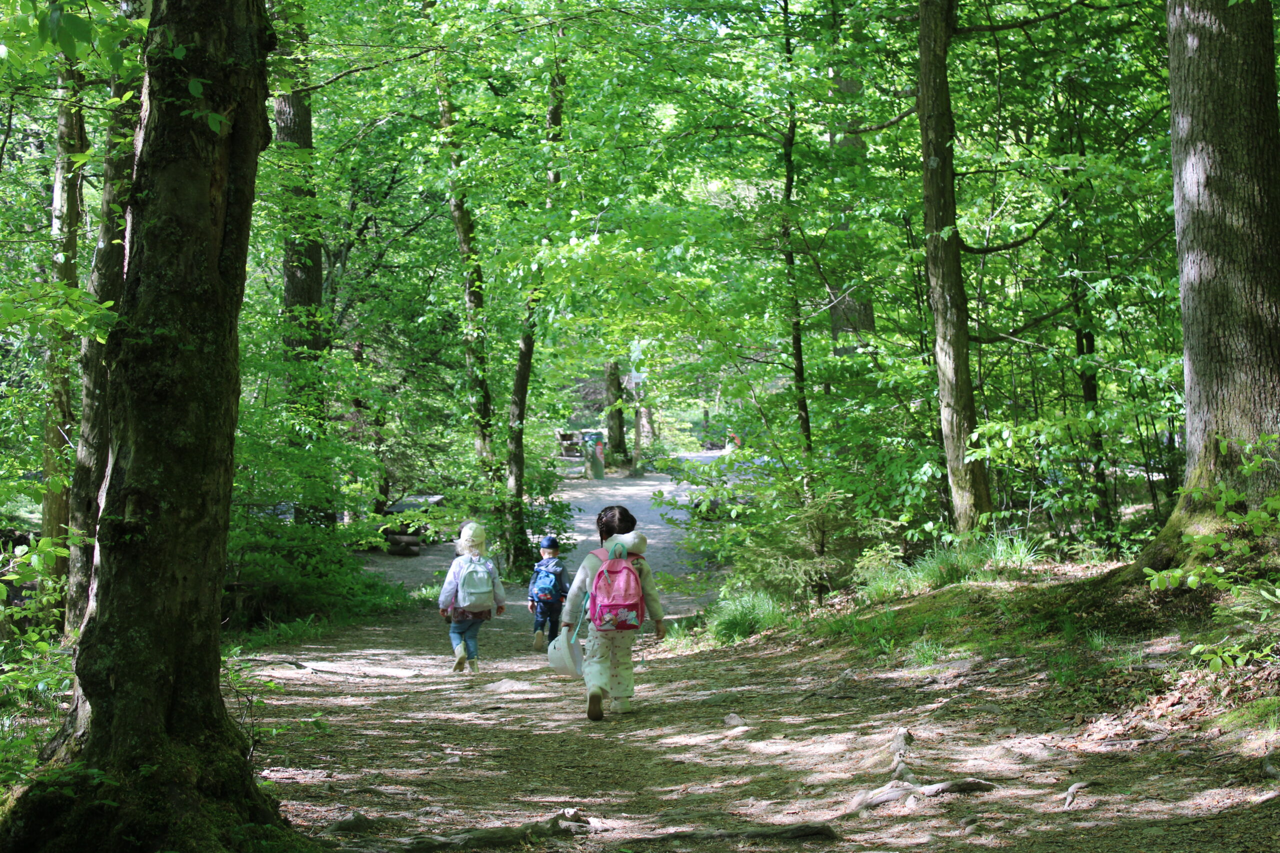 Gruppenab grün3